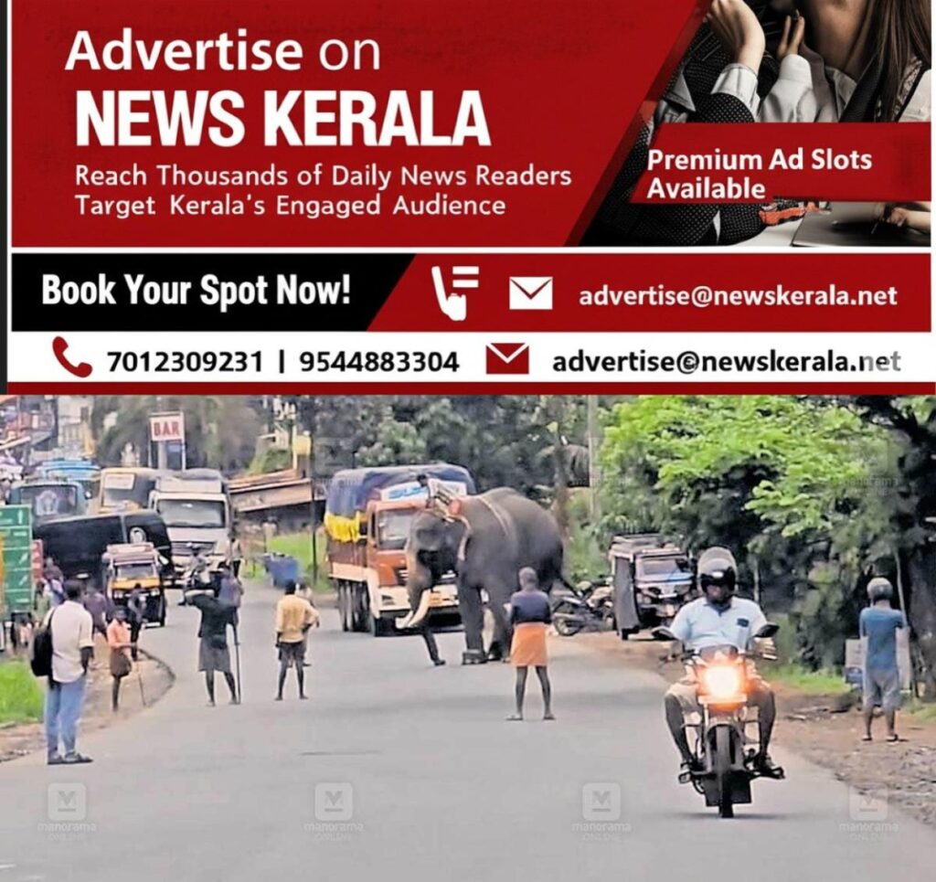 newskerala.net_1754717274_elephant