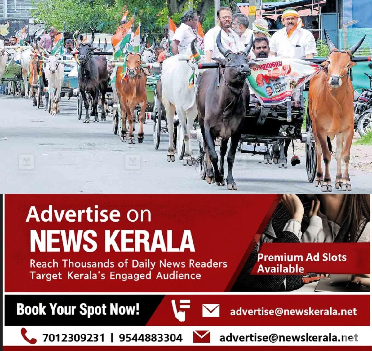 newskerala.net_1754718778_palakkad-chittur-bull