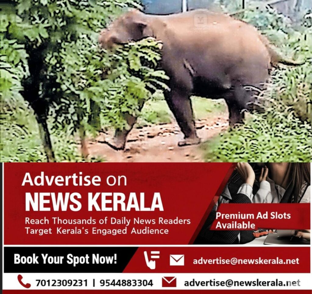 newskerala.net_1754725200_aralam-farm-elephant-attack