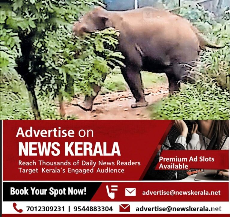 newskerala.net_1754725200_aralam-farm-elephant-attack