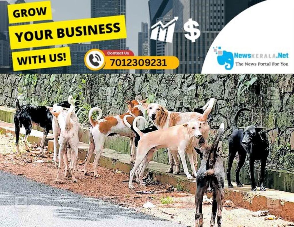 newskerala.net_1754726438_stray-dog-attack-kumaranellur