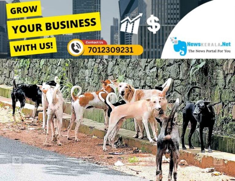 newskerala.net_1754726438_stray-dog-attack-kumaranellur