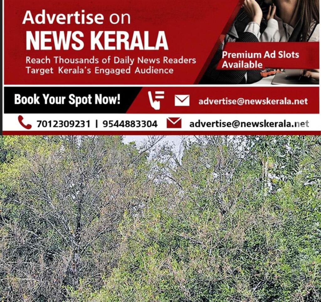 newskerala.net_1754729311_nutmeg-tree-disease
