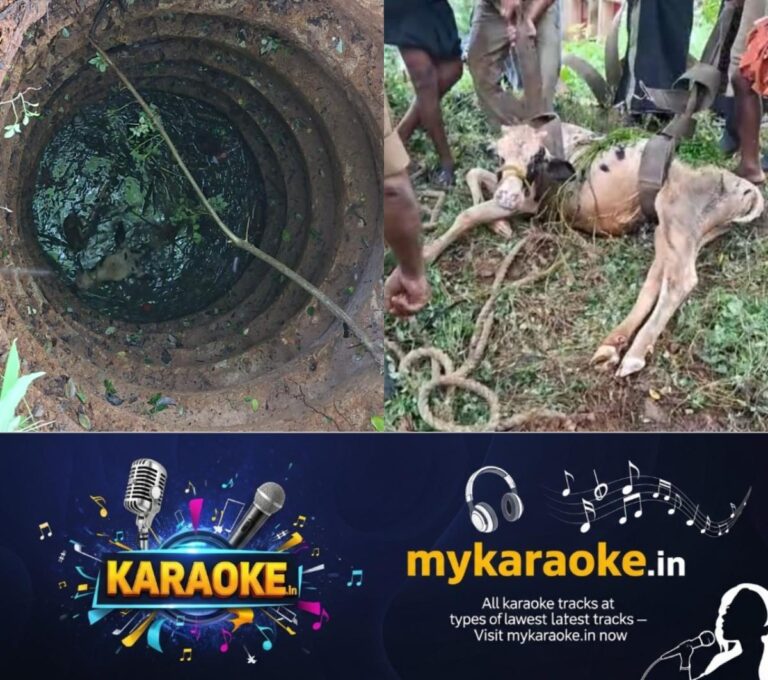 newskerala.net_1754769329_w-1280h-720format-jpgimgid-01k27yv90z019ktphbx7n1c86nimgname-cow-fell-into-well-1754761372703.jp