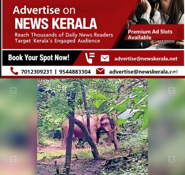 newskerala.net_1754809639_pt-anjaman-elephant