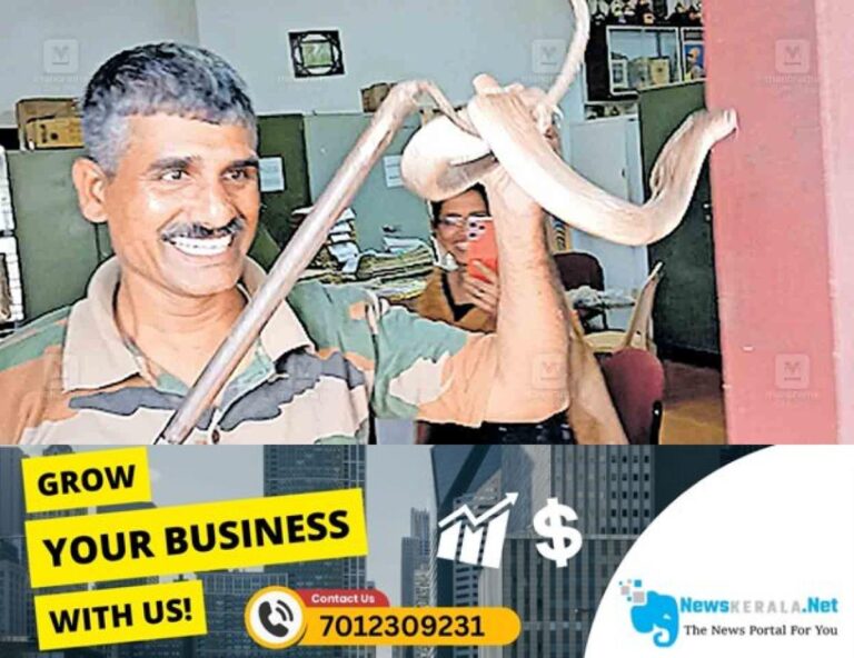 newskerala.net_1754812527_wayanad-snake