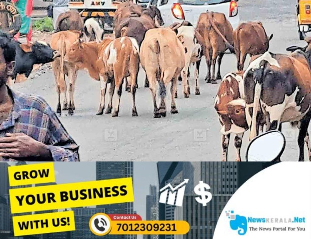 newskerala.net_1754815458_wayanad-animals