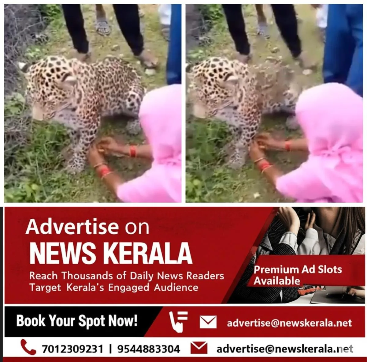 newskerala.net_1754846653_w-1280h-720format-jpgimgid-01k2af9rnjwk35gg8zxmd7sxq8imgname-woman-tied-a-rakhi-to-the-leopard-1
