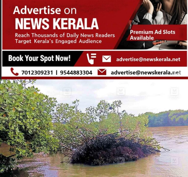 newskerala.net_1754882198_kollam-mangroves