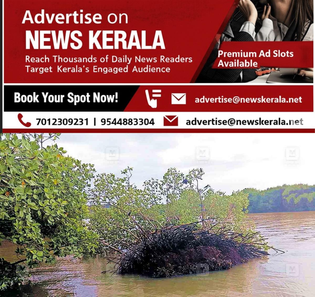 newskerala.net_1754882198_kollam-mangroves