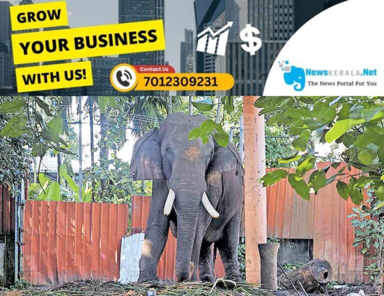 newskerala.net_1754883855_kollam-thrikkadavoor-sivaraju-elephant