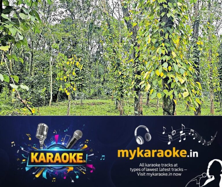 newskerala.net_1754894899_wayanad-puthadi-black-peper