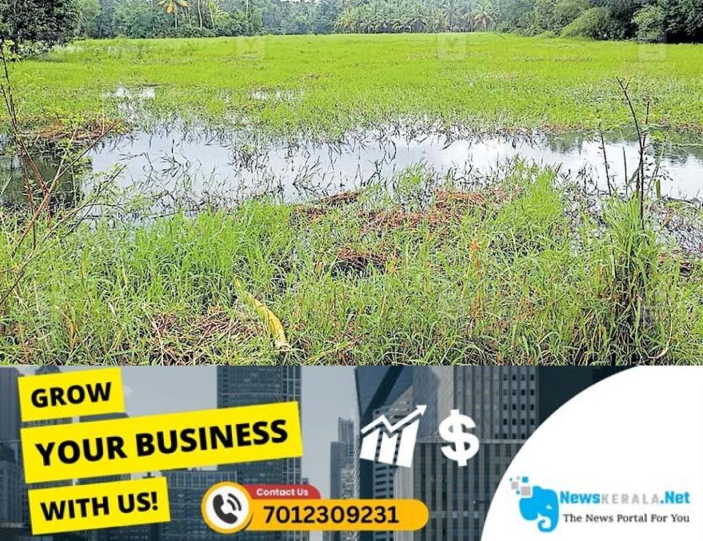 newskerala.net_1754916618_mannar-fish-farming