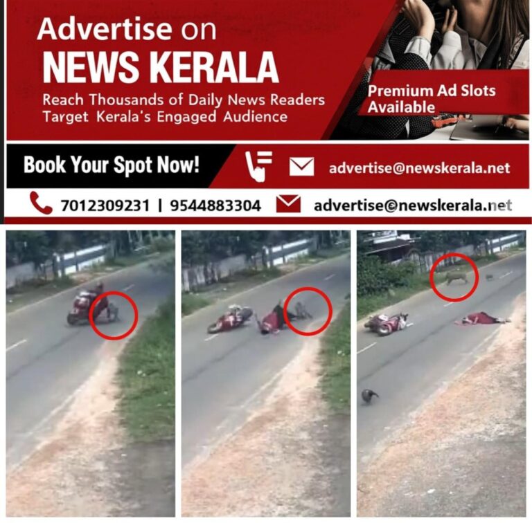newskerala.net_1754953157_w-1280h-720format-jpgimgid-01k2d0e6mrv846eq04r9x7bt27imgname-woman-attacked-by-wild-boar-when-sh