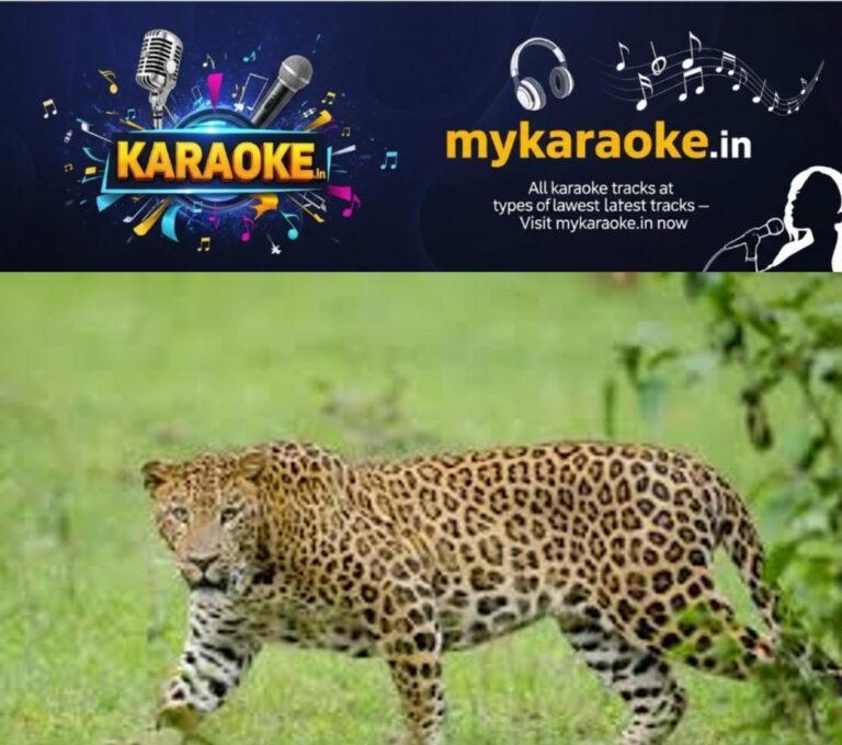 newskerala.net_1754955923_w-1280h-720format-jpgimgid-01jt000sq0yd4ezf30p2qm6ywbimgname-leopord-1745904232160