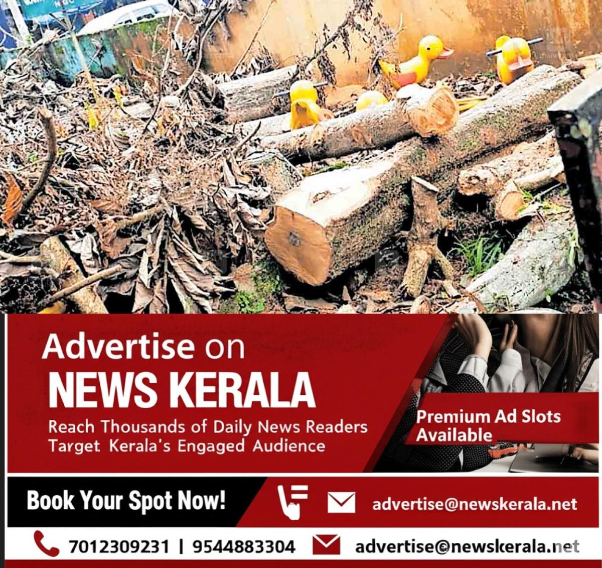 newskerala.net_1754980725_wood-issues