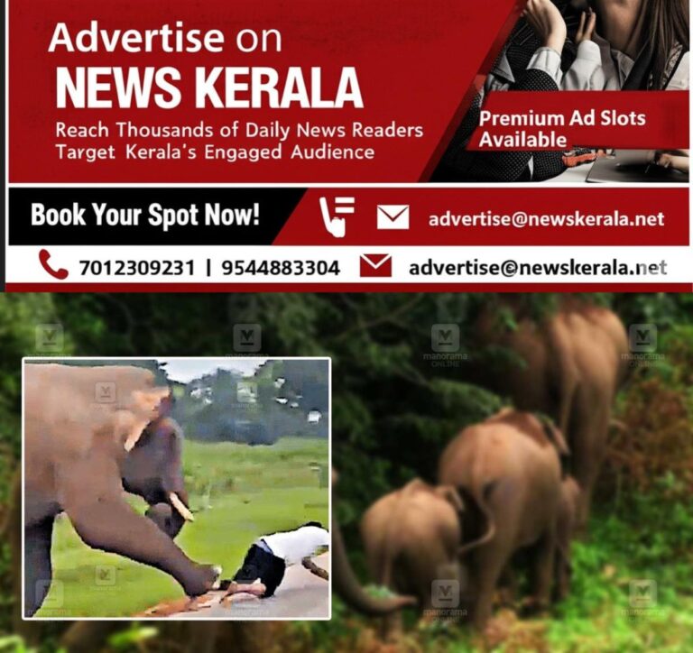 newskerala.net_1754984075_wild-elephant-selfi