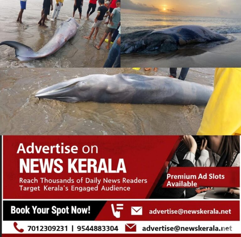 newskerala.net_1754994556_w-1280h-720format-jpgimgid-01k2ewjmmcb19hvhqbt0hy6m1mimgname-fotojet-10-1754993873548