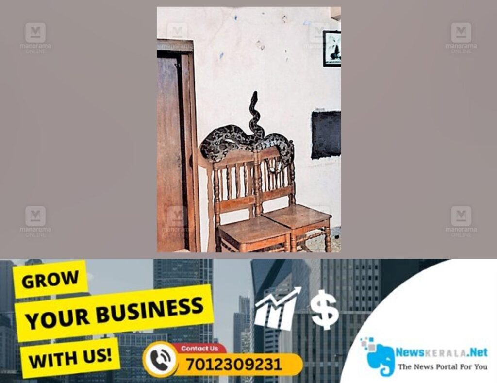 newskerala.net_1754997124_python-on-chair-uruvachal-1