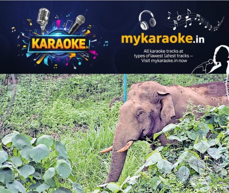 newskerala.net_1755053168_aralam-farm-elephant