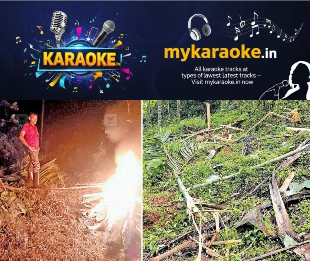 newskerala.net_1755055233_kasargod-wild-elephant-threat