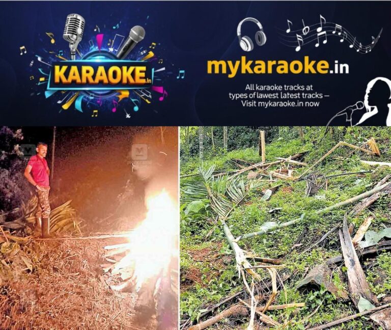 newskerala.net_1755055233_kasargod-wild-elephant-threat