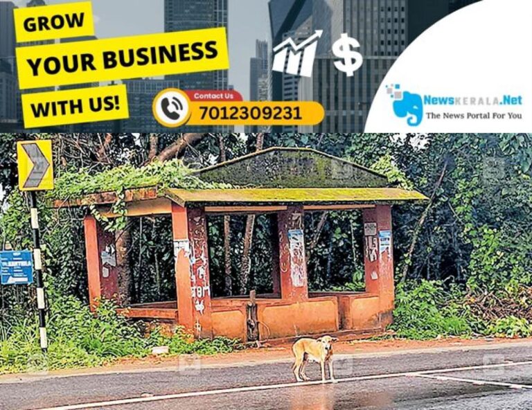 newskerala.net_1755057077_kasargod-stray-dog-threat