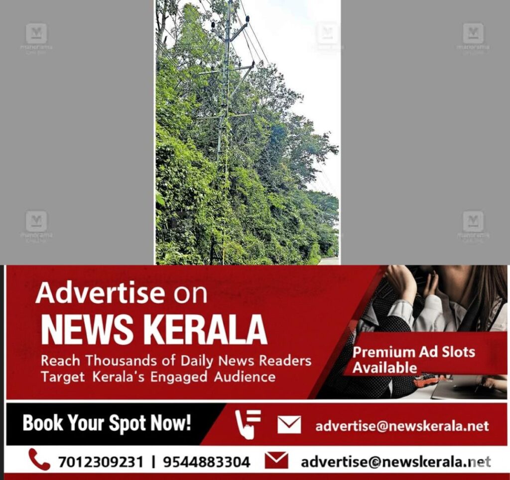 newskerala.net_1755064732_electric-post