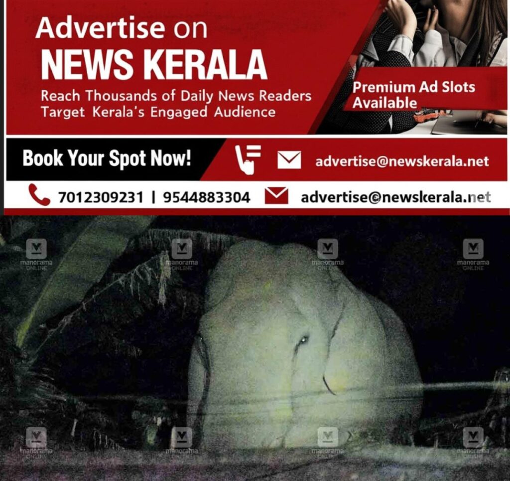 newskerala.net_1755119533_padayappa-elephant