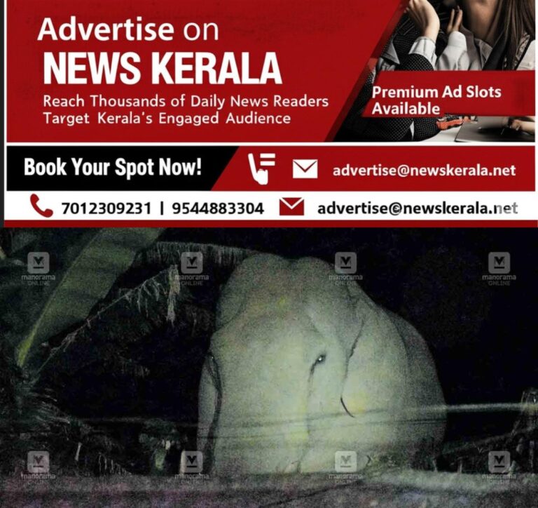 newskerala.net_1755119533_padayappa-elephant