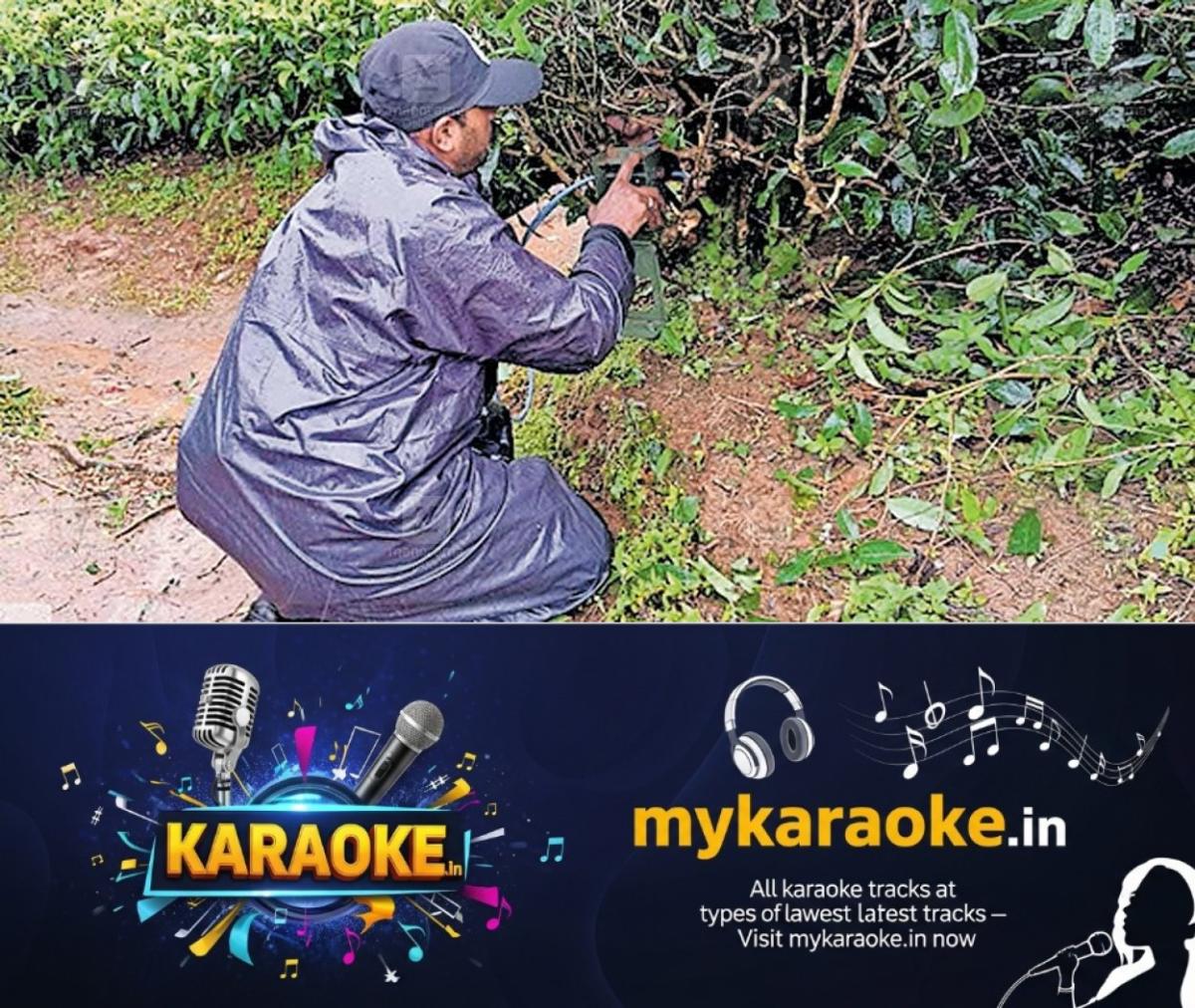 newskerala.net_1755145843_valapara-wild-animal-issue-2