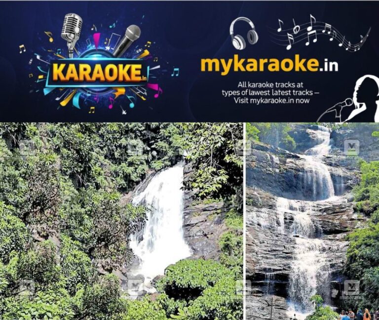 newskerala.net_1755153163_water-fall-1