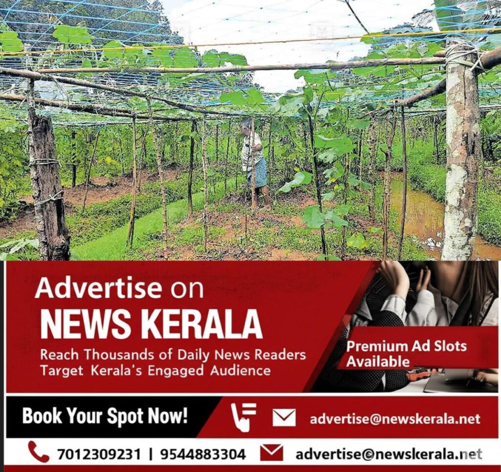 newskerala.net_1755154555_mannadi-vegitable