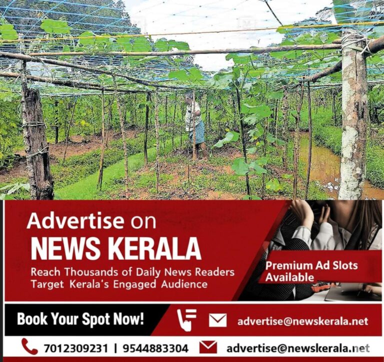 newskerala.net_1755154555_mannadi-vegitable