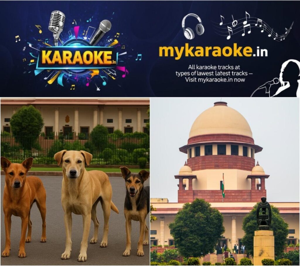 newskerala.net_1755160766_w-1280h-720format-jpgimgid-01k2ktm0pahcakp8qdfb9fcgp5imgname-stray-dog-1-1755159593667