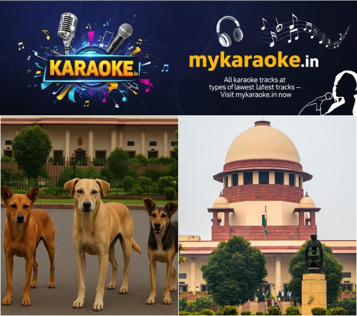 newskerala.net_1755160766_w-1280h-720format-jpgimgid-01k2ktm0pahcakp8qdfb9fcgp5imgname-stray-dog-1-1755159593667