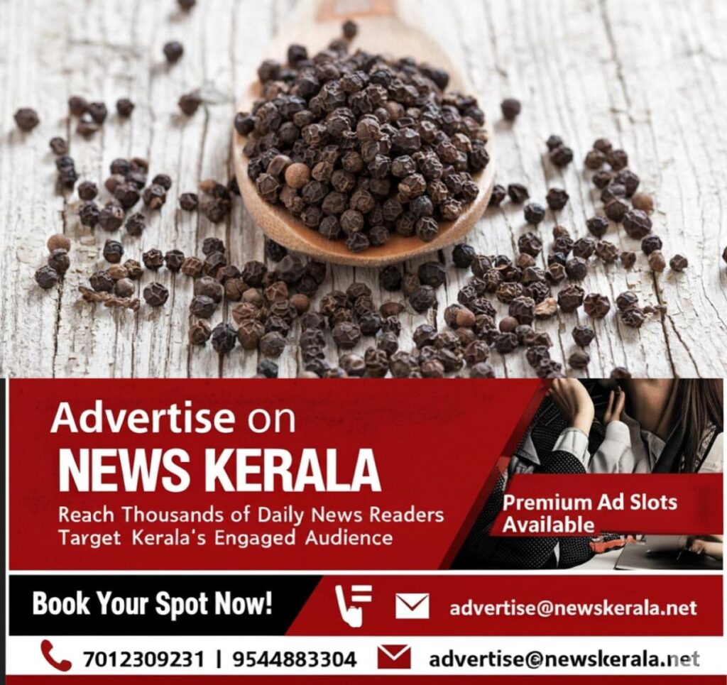 newskerala.net_1755164858_black-pepper-dry