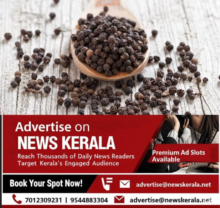 newskerala.net_1755164858_black-pepper-dry