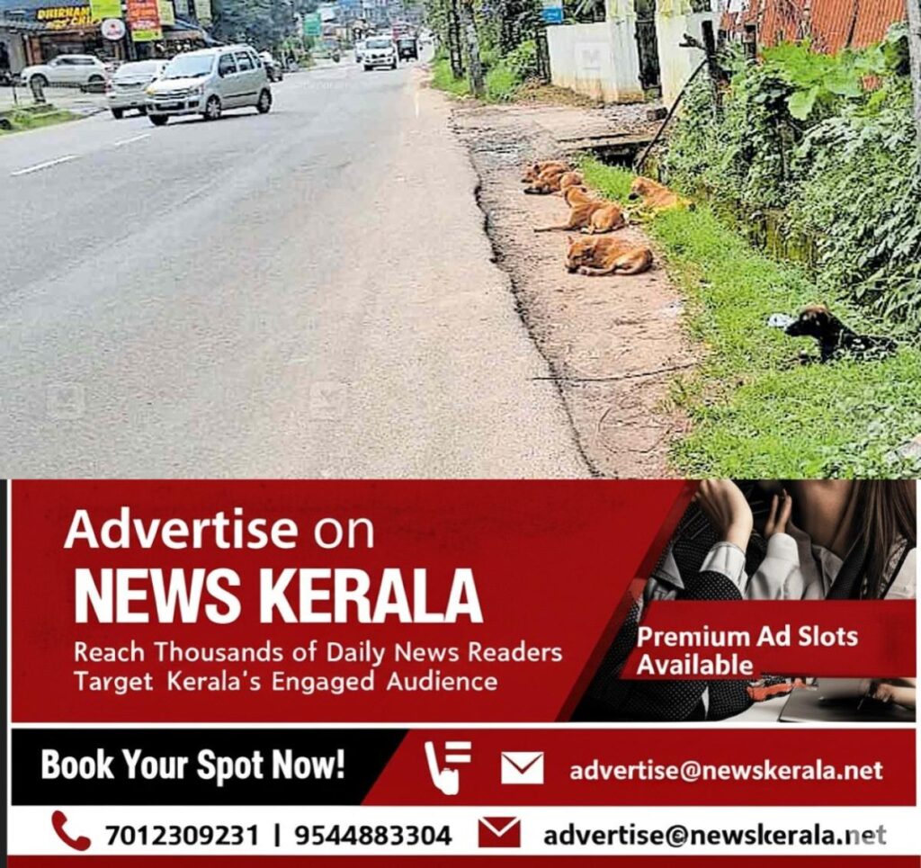 newskerala.net_1755203842_thodupuzha-stary-dog