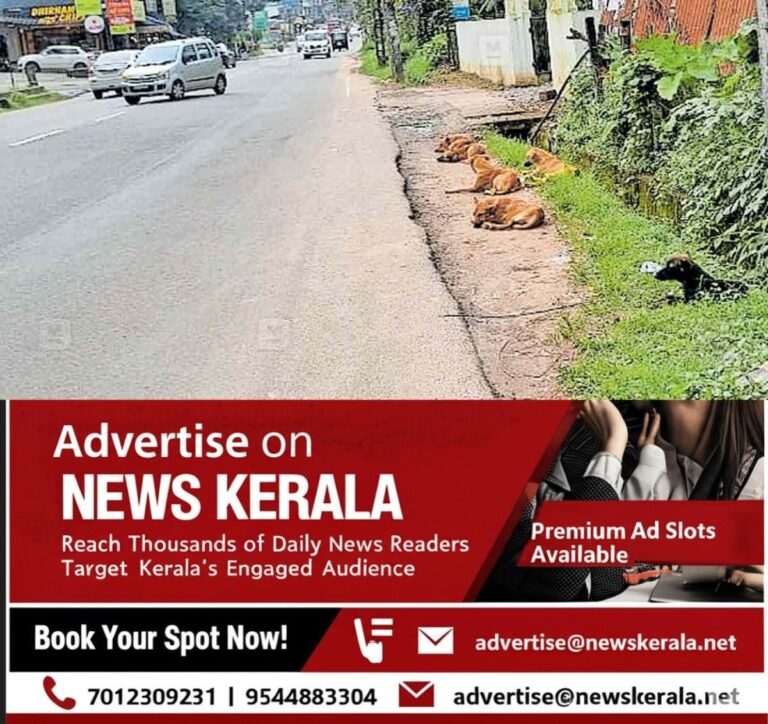 newskerala.net_1755203842_thodupuzha-stary-dog