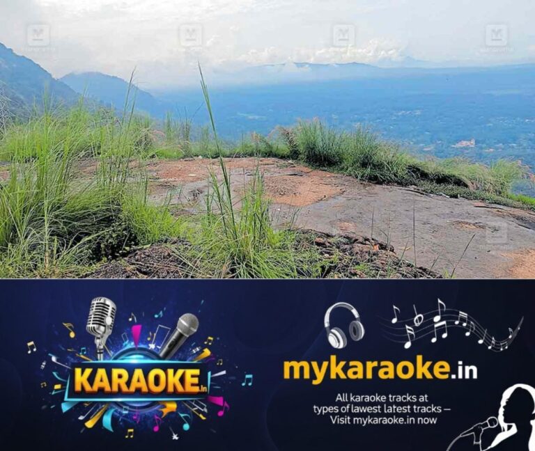 newskerala.net_1755205282_vannapuram-kottapara