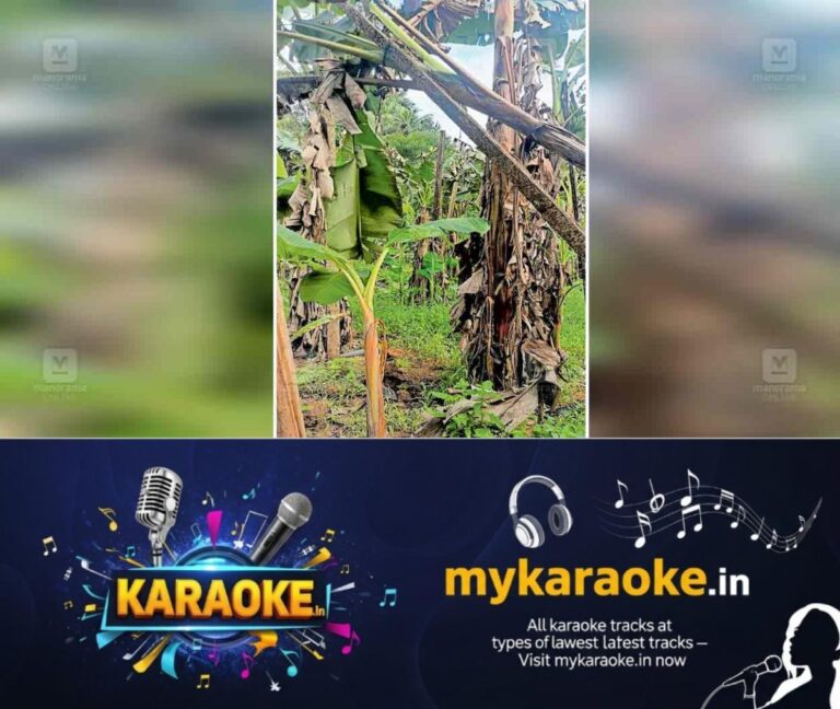 newskerala.net_1755208032_kapunthala-theft-banana-