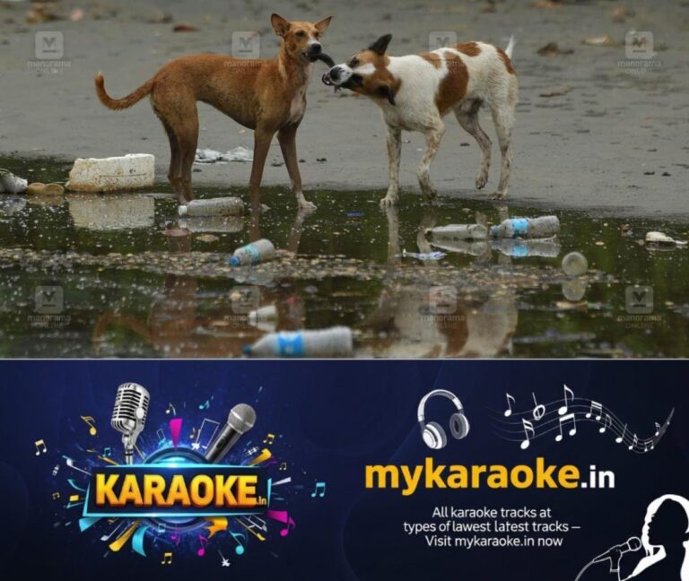 newskerala.net_1755229494_stray-dog-issue