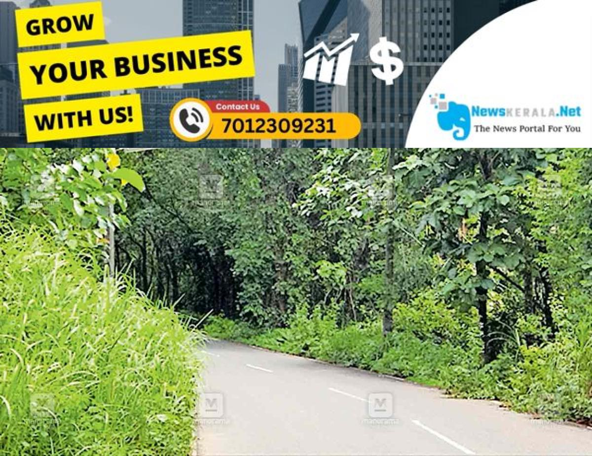 newskerala.net_1755233627_thannithod-road-hazard