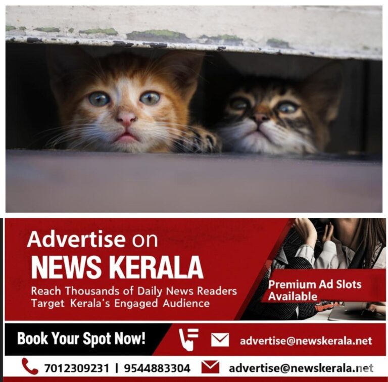 newskerala.net_1755256778_w-1280h-720format-jpgimgid-01k2ppnbfc8h0kh3fpcehhyefqimgname-fotojet-2025-08-15t163813.103-175