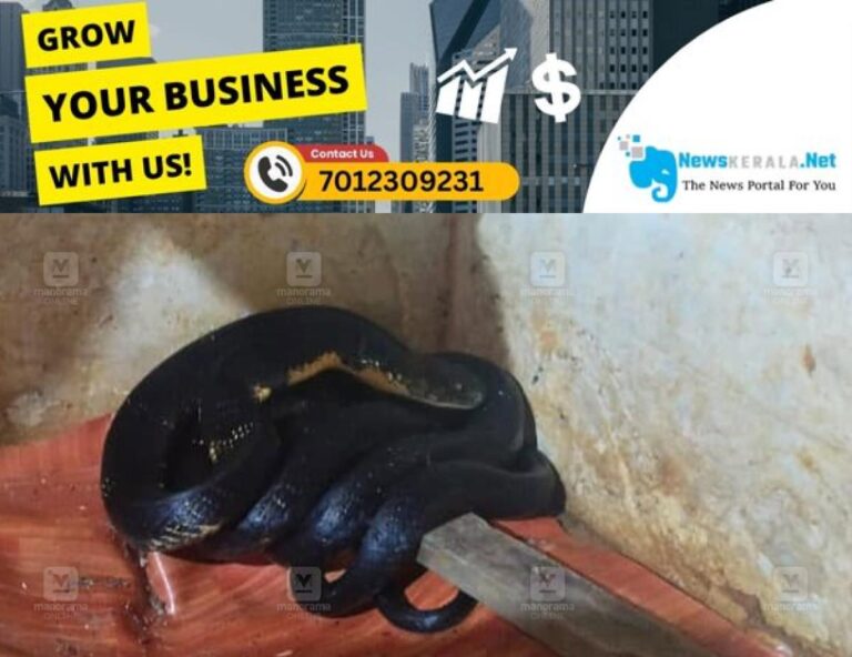newskerala.net_1755259288_king-cobra