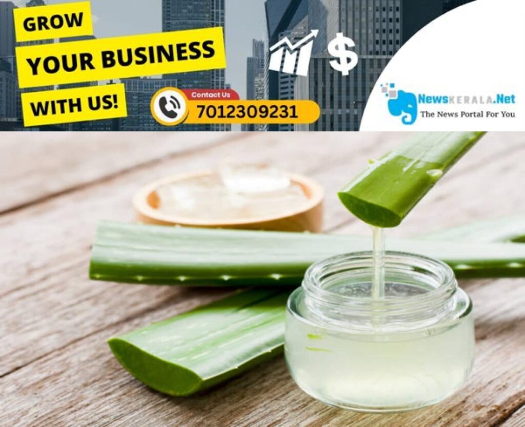 newskerala.net_1755277674_w-1280h-720format-jpgimgid-01jy6hc0vgnt3zgx7nwydf0sakimgname-aloe-vera-gel-1-1750418719600