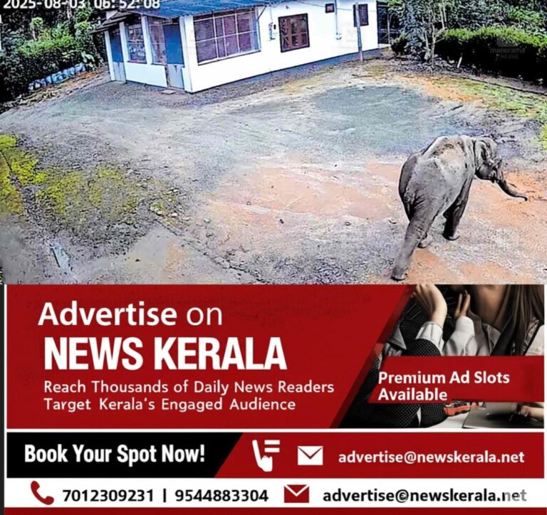 newskerala.net_1755294323_adimali-wild-elephant-1