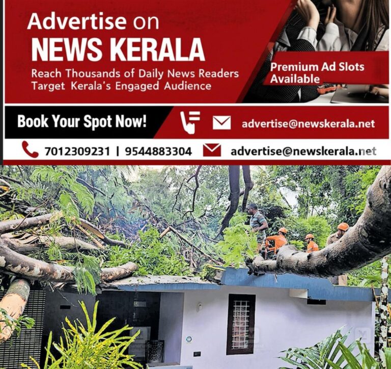 newskerala.net_1755327985_Pantheerankavu-tree-fall