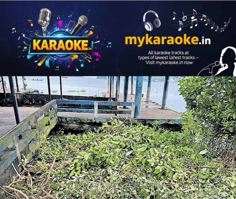 newskerala.net_1755410170_marine-drive-mangrove-destruction